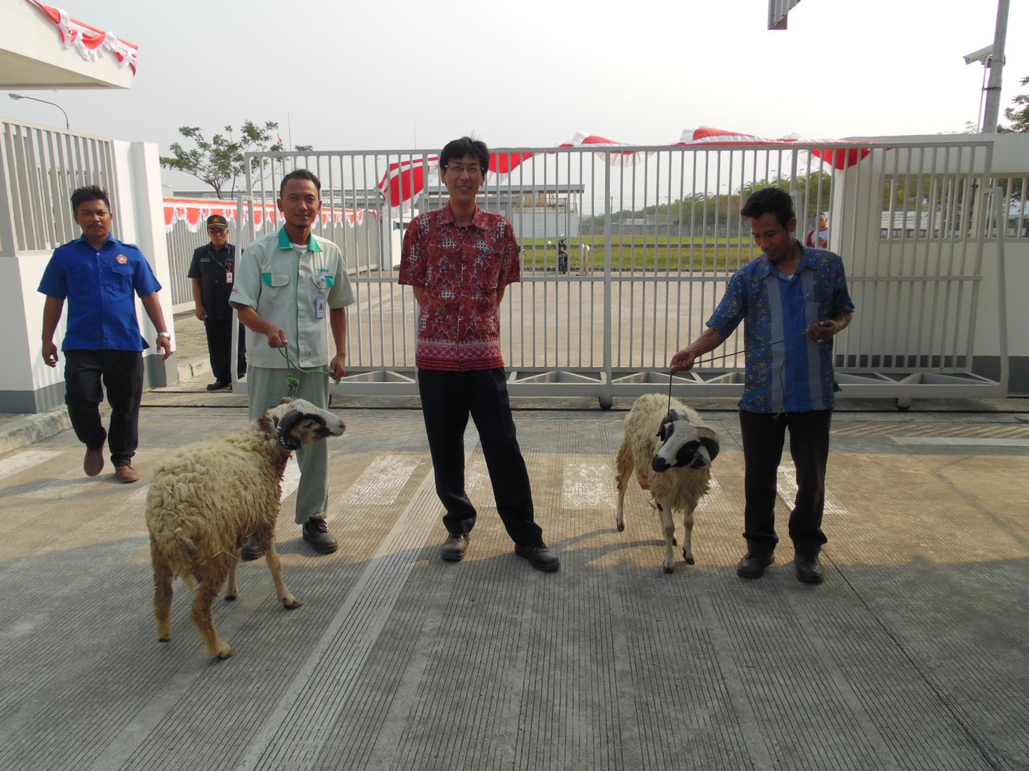 Bantuan Hewan Qurban